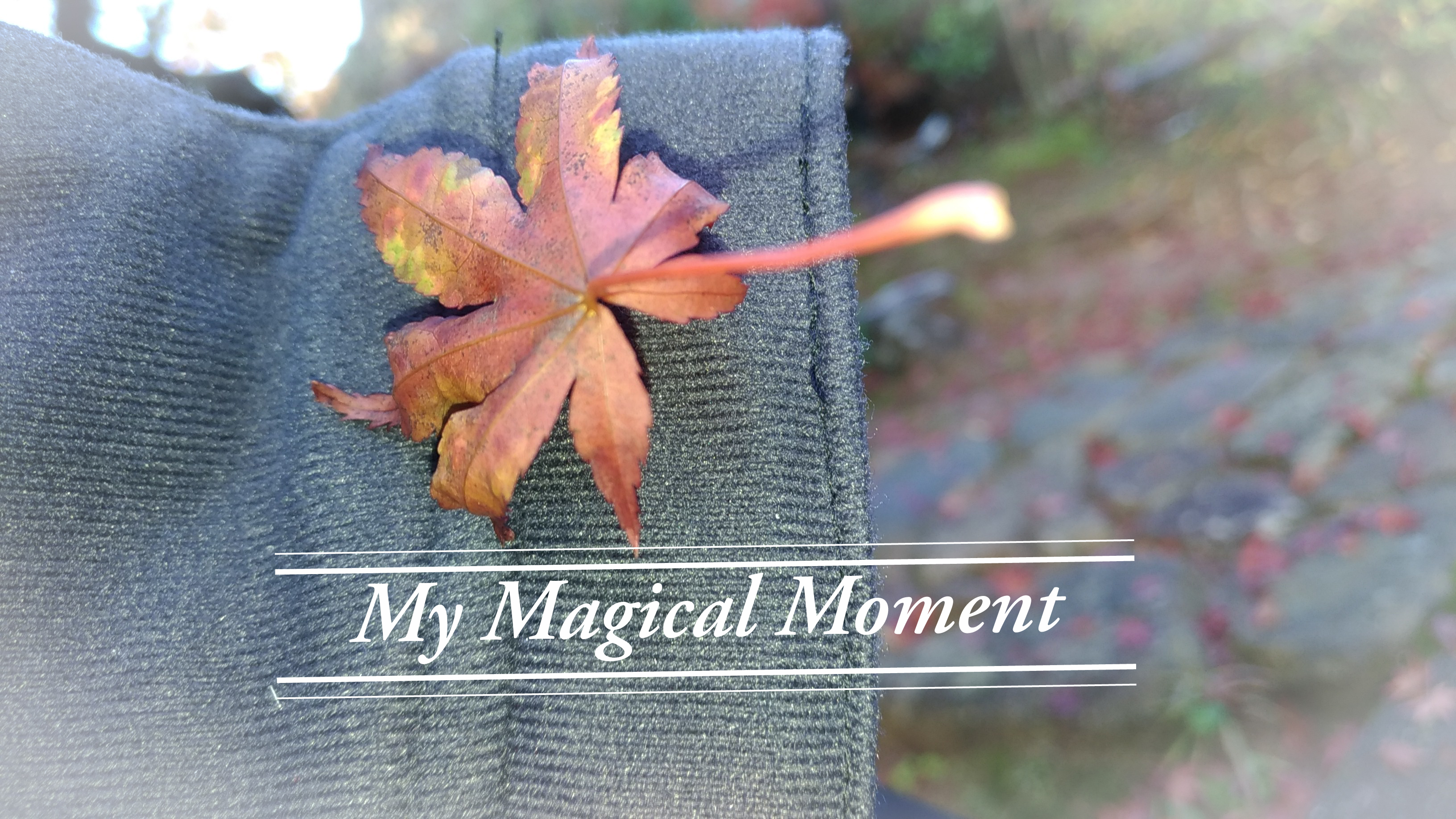 My magical moment 奇妙的感覺